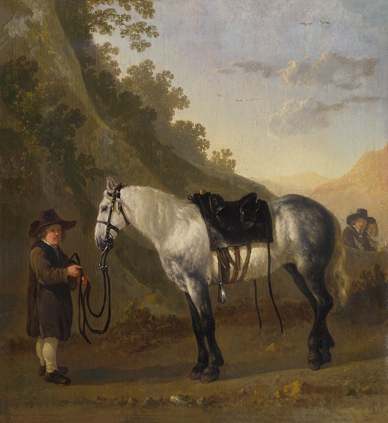 A Boy holding a Grey Horse